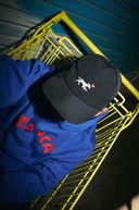 Gorra Perro Tranca