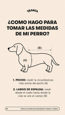 Buzo para perros - Buzo OG Azul - PREVENTA