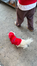 Buzo para perros - Buzo OG Rojo - PREVENTA