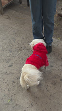 Buzo para perros - Buzo OG Rojo - PREVENTA